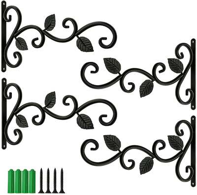 Creative Wall Plant Holders for Stylish Home Decor